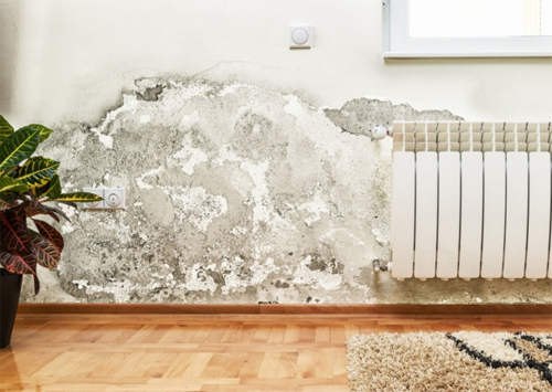 Common reasons for wet walls and how to fix them